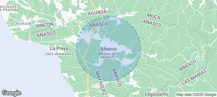 Discover Añasco Airbnb Analytics